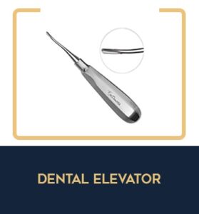 WhatsApp Image 2026-03-05 at 9.49.53 PM (1)