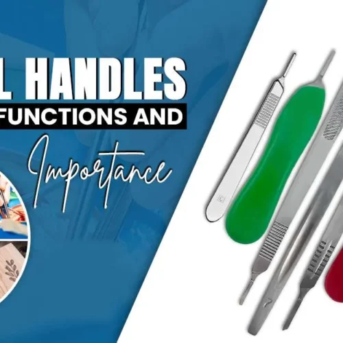 What are Scalpel Handles? A Guide to Functions and Importance Copy